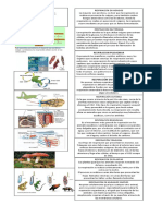 Tipos de Respiración