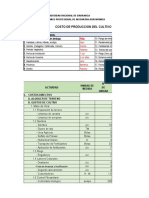 Costo de Producción Del Palto.