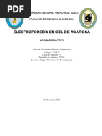 Electroforesis en Gel de Agarosa - Fernandez Salazar Iris Azucena