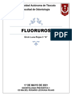 Fluoruros - Erick Luna Rojas 3 A