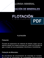 Flotacion de Minerales