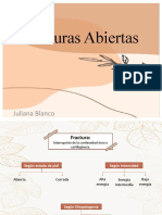 Fracturas Abiertas