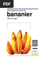 Descripteurs Bananier