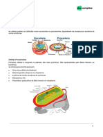 NST-biologia-Citologia Zero