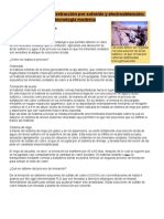 Informe 5