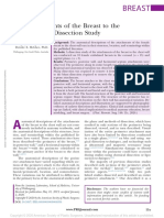 The Attachments of The Breast To The Chest Wall: A Dissection Study