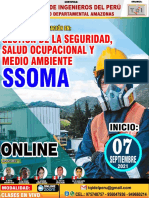 Brochure Ssoma - Cip Amazonas