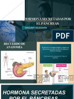 Hormona Secretadas Por El Páncreas - Mi Parte