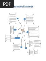 Mapa Conceptual - Aromaterapia