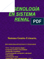 Imagenologia Elemental Renal