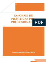 Informe de Prácticas Preprofesionales Iii