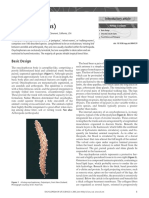 EoLS - Wright (2007) Onychophora