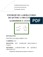 Informe de Aldehidos y Cetonas