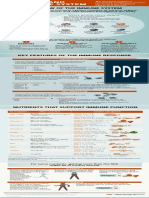 Lpi Immunity Infographic 0