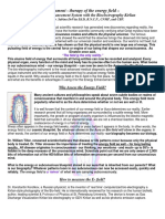 Assessment - The EESystem With The Bioelectrography Kirlian - GDV and The EES Package Mappin - 1