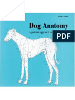 Dog Anatomy, A Pictorial Approach To Canine Structure (VetBooks - Ir)