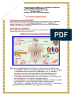 Taller de Ciencias-Endocrino