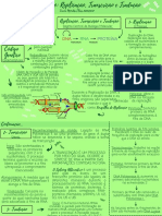 Mapa Mental - REPLICAÇÃO, TRADUÇÃO E TRANSCRIÇÃO. 