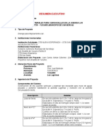 Resumen Ejecutivo Proyecto de Puente Cajon