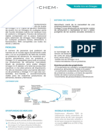 8 SilicoChem One Pager