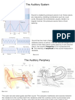 The Auditory System: B. The Intensity of Amplitude of The Sound Measured in