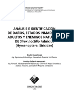 Analisis Identificacion Sirex