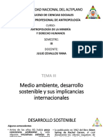 3 Medio Ambiente, Desarrollo Sostenible y Sus Implicancias Internacionales