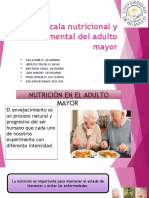 2 Escala Nutricional y Escala Mini Mental