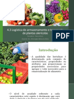 4.3 Logística de Armazenamento e Transporte de Plantas Olerícolas