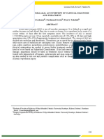 Acute Limb Ischemia (Ali) An Overview of Clinical Diagnosis