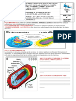 Taller de Ciencias 6 para Estudiantes