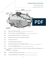 Ficha de Avaliacao Ciclos e Evolucionismo