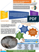 Infografia Problematica Social