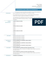 Curriculum Vitae Funcional