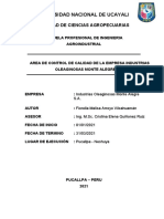 INFORME de PPP INDOLMASA-Arroyo Vilcahuaman Fiorella Melisa