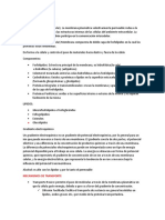 Membrana Plasmatica Info