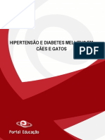 Docência em Saúde: Hipertensão E Diabetes Mellitus em Cães E Gatos