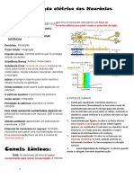 Sinalização Elétrica Dos Neurônios FISIO