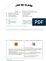 Planificacion Ciencias Naturales Quinto Año