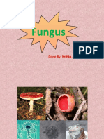 Fungus: Done By: Kritika, Bindi, Jiya & Mansi