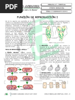 Funcion de Reproduccion I