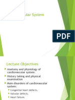 Cardiovascular System