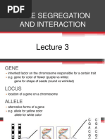 Genetics Lecture 3 Gene Segregation and Interaction