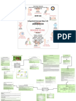 NCM 118 Icm Dengue Fever Group 4