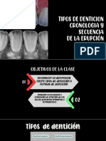 Tipos de Denticion