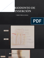 Periodonto de Inserción