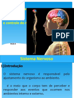 Aula 6 - Sistema Nervoso