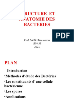 Structure Et Anatomie Des Bacteries