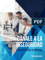 Guia Ganale A La Inseguridad Como Proteger Tu Empresa