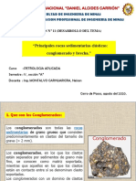 11.1 Sesión #11 Principales Rocas Sedimentarias Clásticas